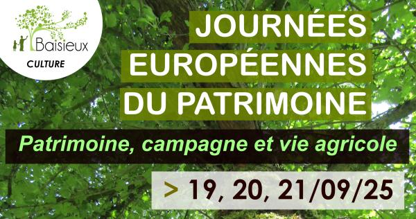 JEP 2025 vignette