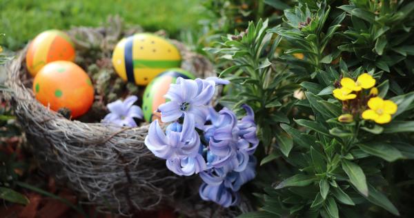 Image d'oeuf de Paques dans un panier. Image par Van3ssa 🩺🎵 Desiré 🙏 Dazzy 🎹 de Pixabay