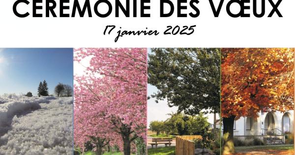 Voeux 2025 vignette