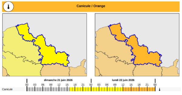 Canicule