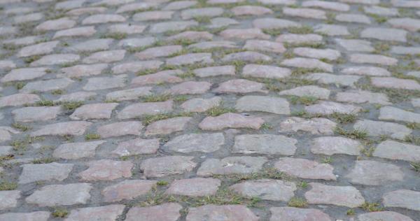 Pavés Paris Roubaix
