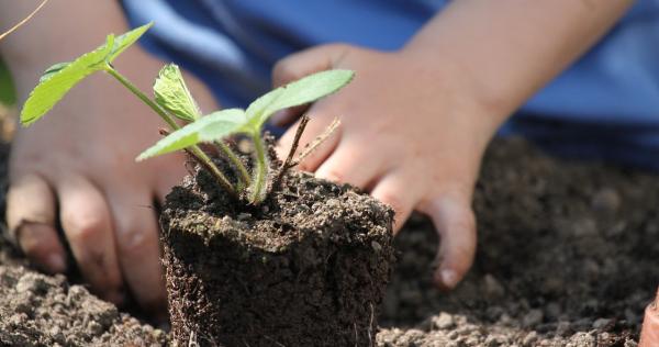 jardinage enfant