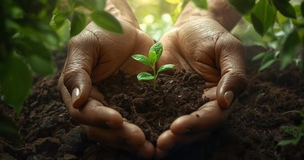 Cadre de vie - plantation