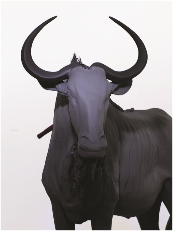Sculture
